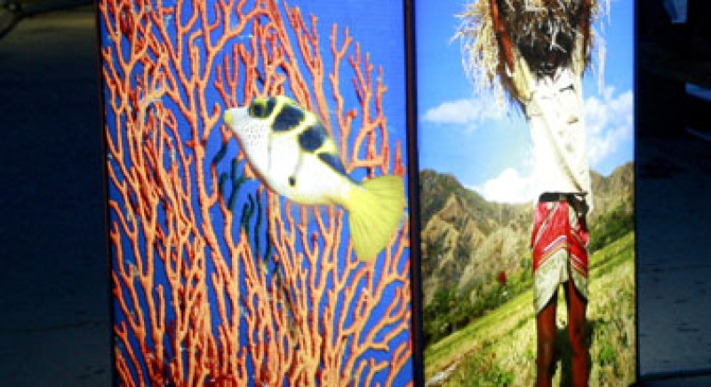 Avery Dennison® 5000 Flexible Substrate
